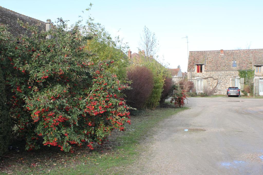 A La Ferme De La Joie - Chambres D'Hotes Chevannes  Bagian luar foto